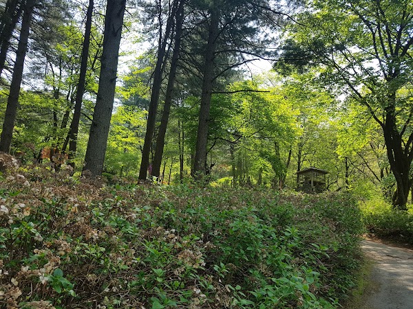 Jangheungjaeng Arboretum