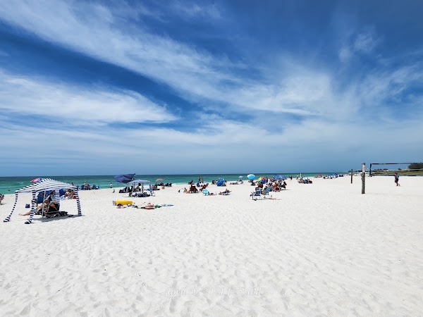 Manatee Public Beach 1