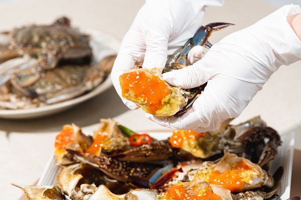 Clean Crab Village 5