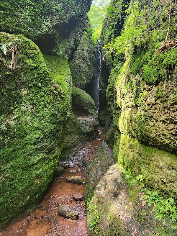 Germany  11