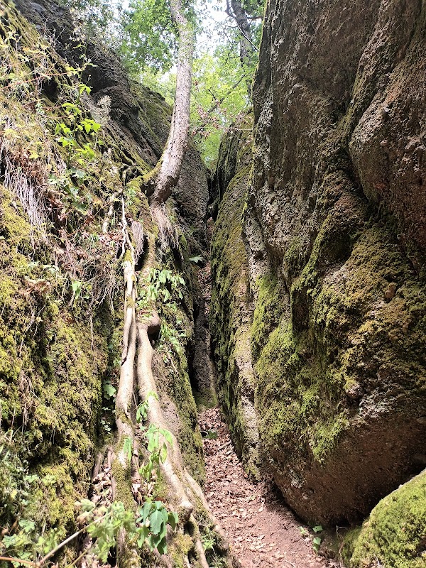Dragon Gorge 3
