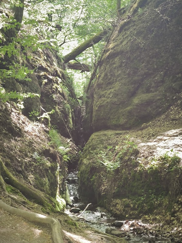 Dragon Gorge 2