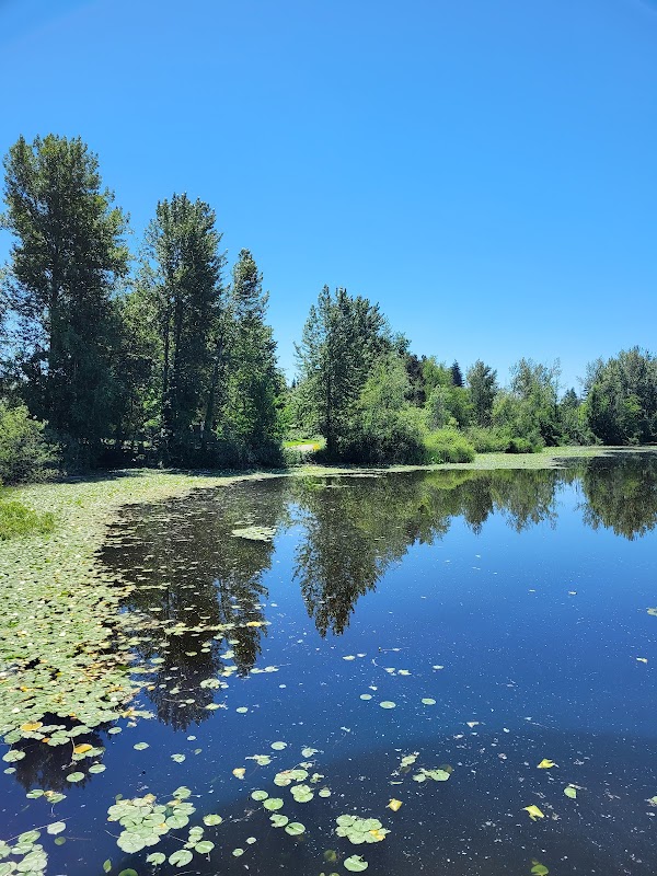 Abbotsford 4