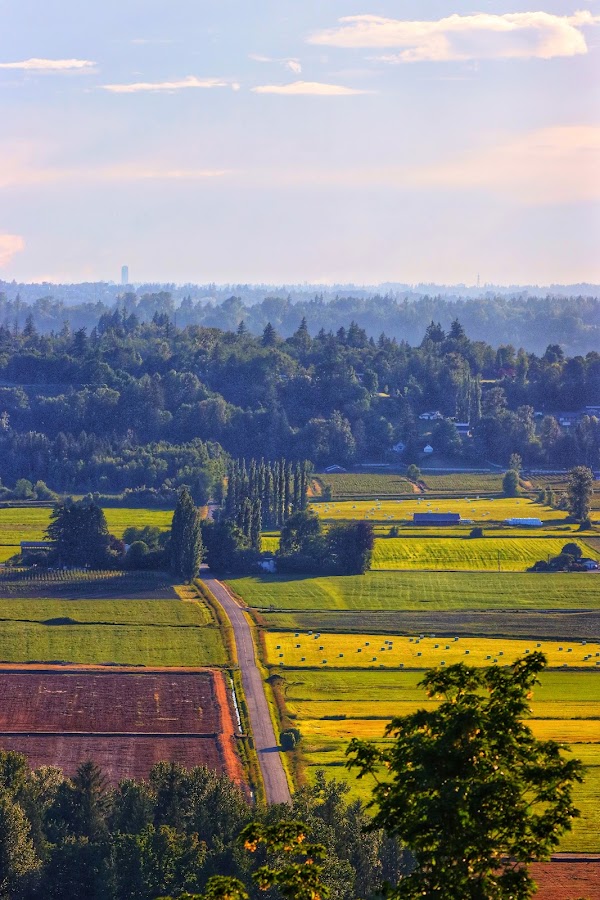 Abbotsford 2