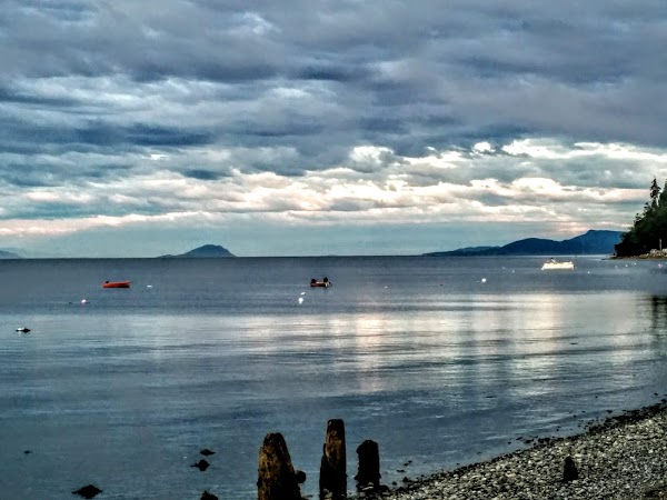 Maple Beach 1
