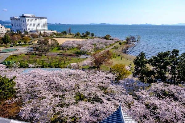 Nagahama Castle Historical Museum 5