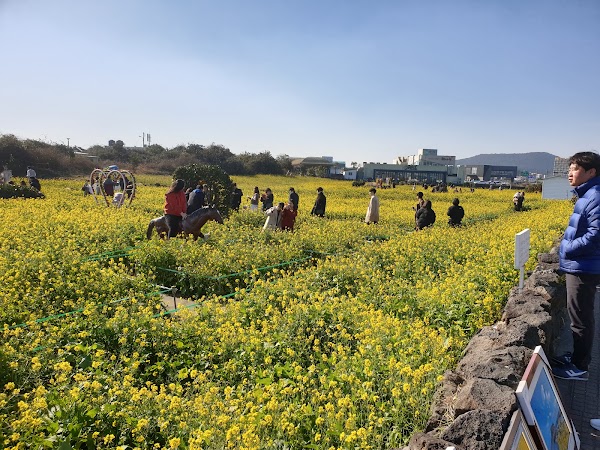 Gwangchigi Beach 3
