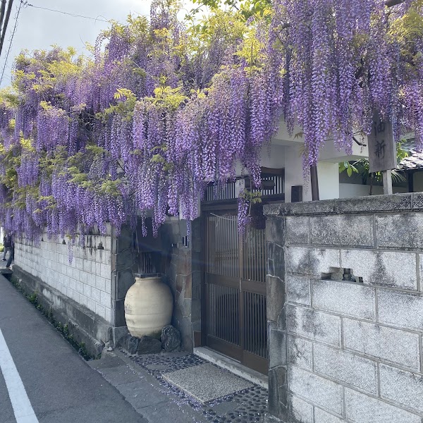 Nodafuji Wisteria