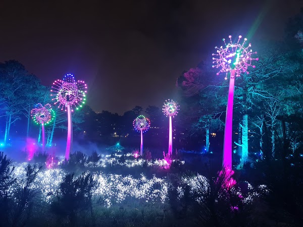Delight Park Dalat