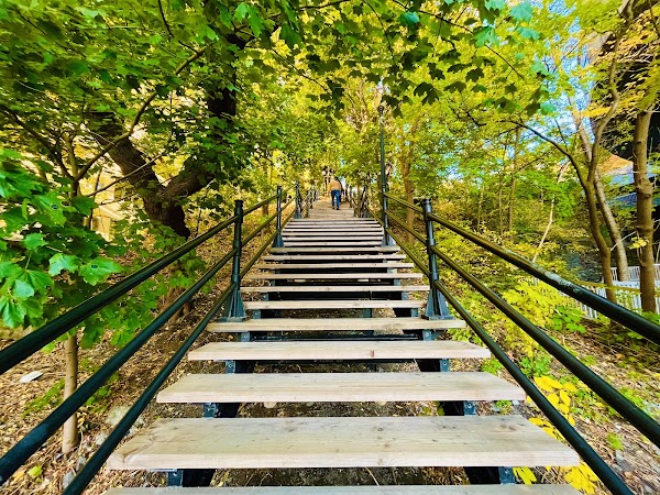 Mount Royal 2