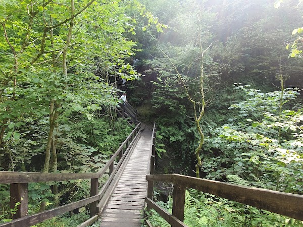 Henrhyd Falls 5