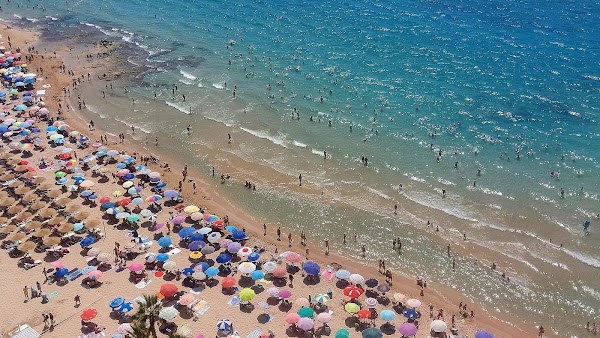 Arenal-Bol 3
