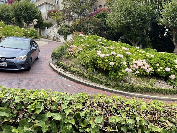 Lombard Street 5