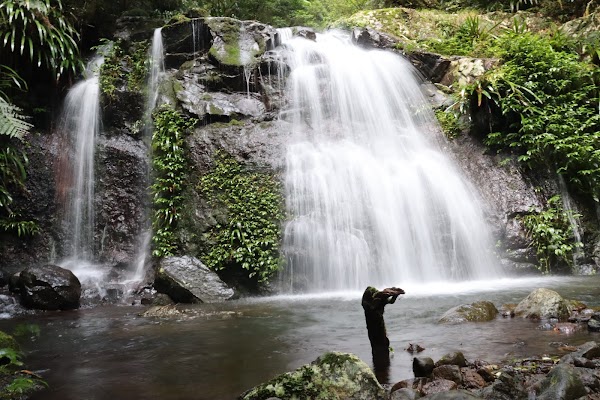 Coomera Falls