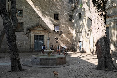 Gothic Quarter