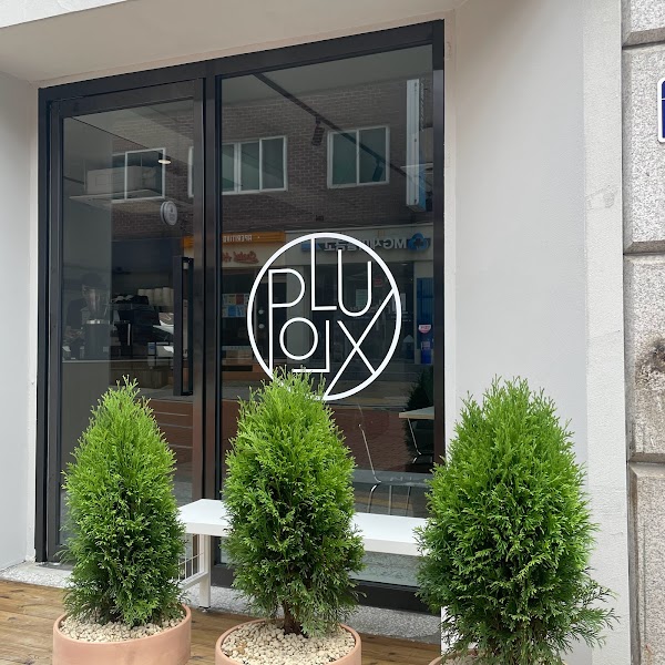 Pollux coffee 2