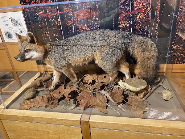 Sugarlands Visitor Center 5