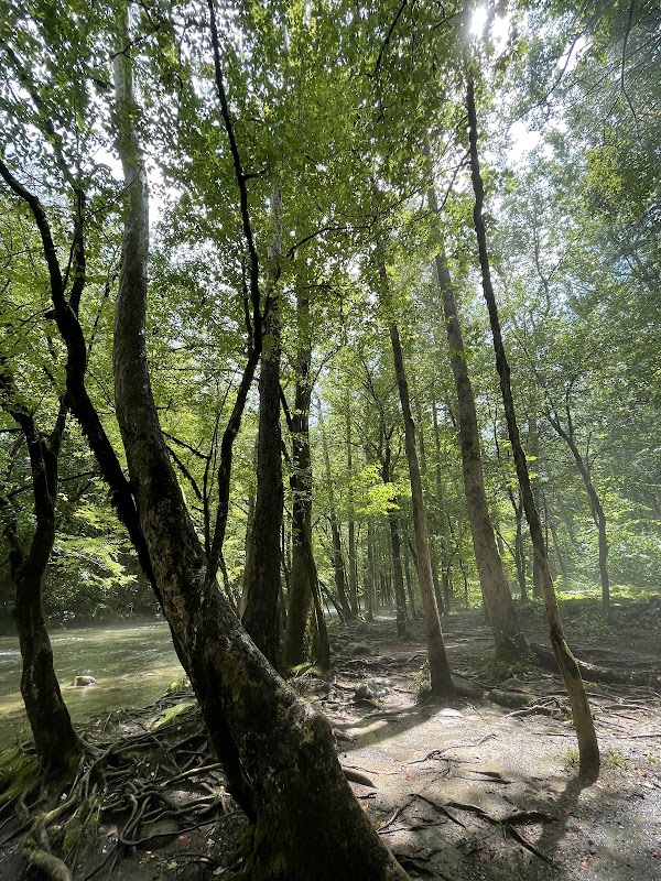 Sugarlands Visitor Center 2