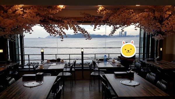 Busan 66