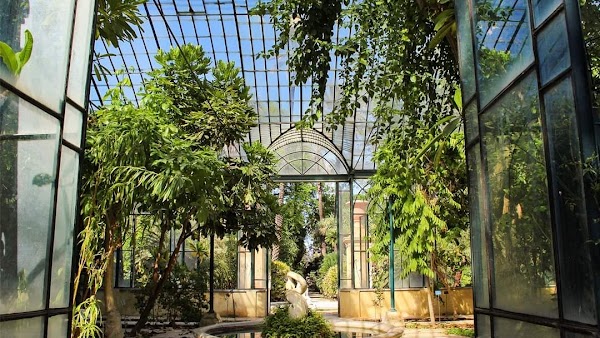 Orto Botanico di Palermo 1