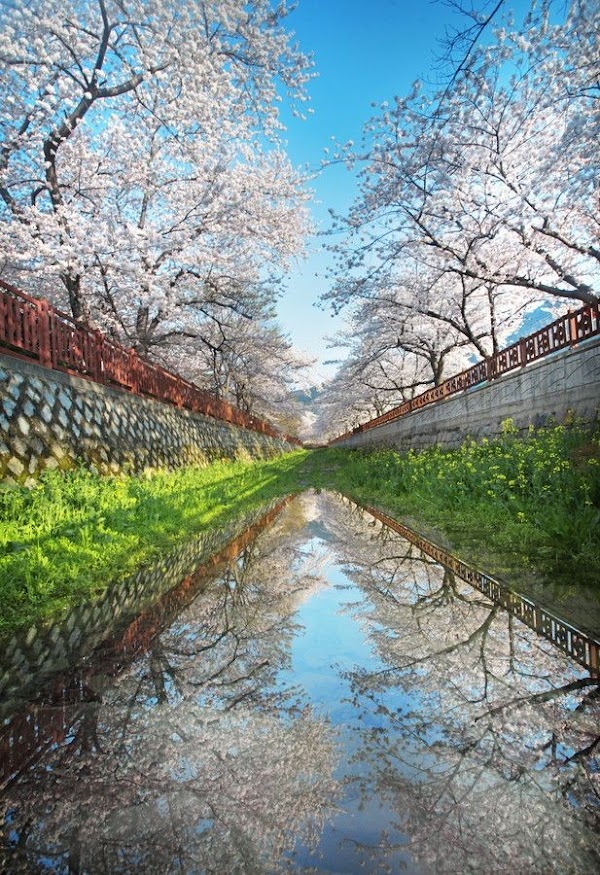 Jinhae-gu 5