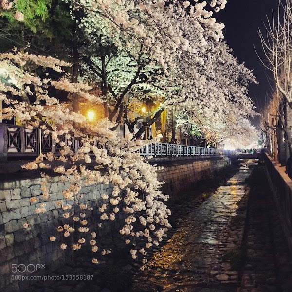 Jinhae-gu 4
