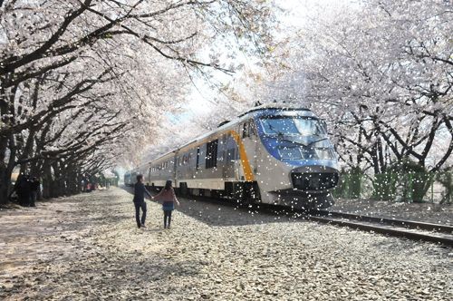 Jinhae-gu 3