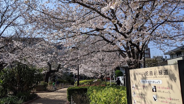 Jakuzure River Green Way 1