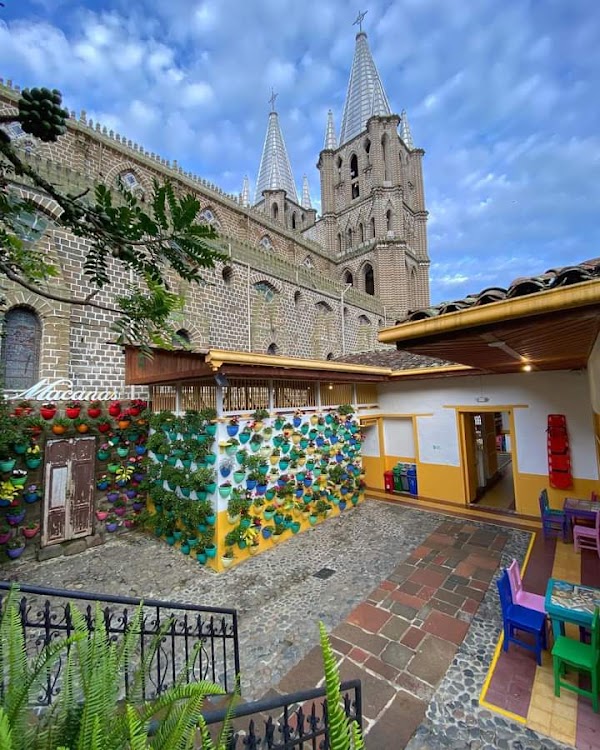 Jardín 5