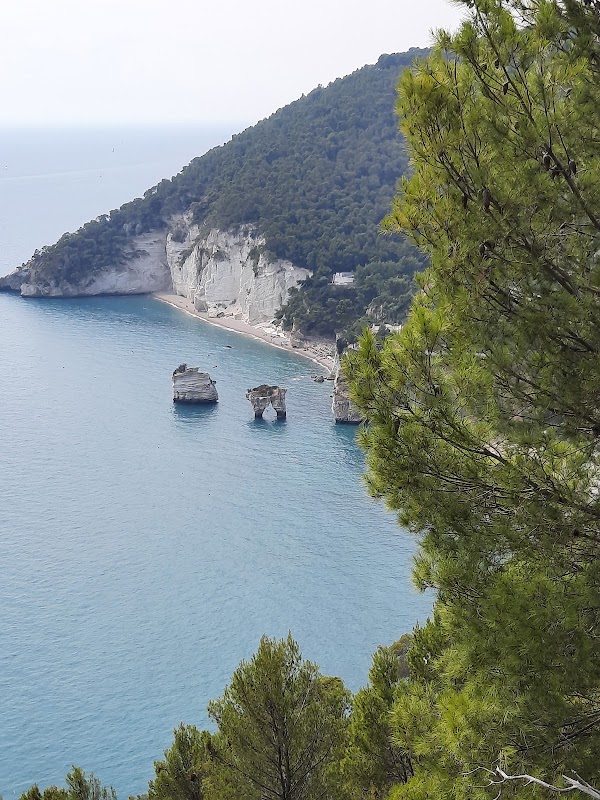 Spiaggia di Vignanotica 4