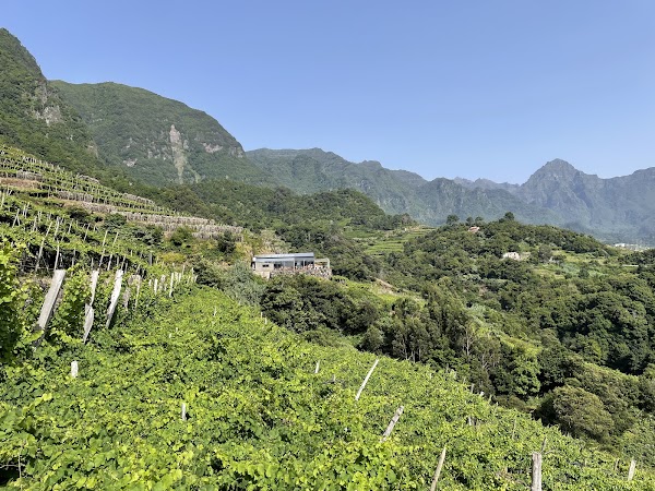 Quinta do Barbusano winery 1