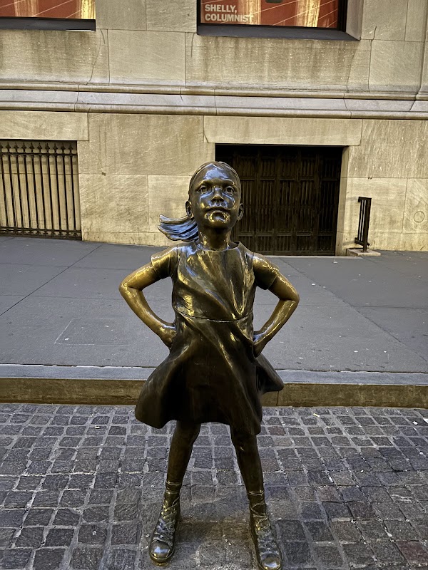 The Fearless Girl 5