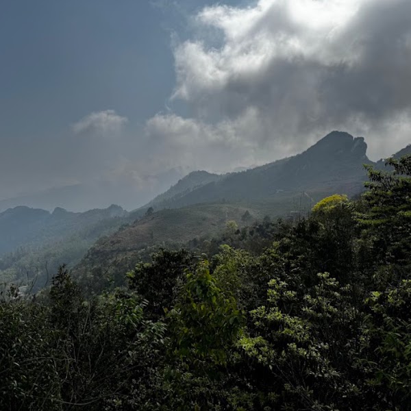 Ham Rong Sa Pa Eco-Tourism Area