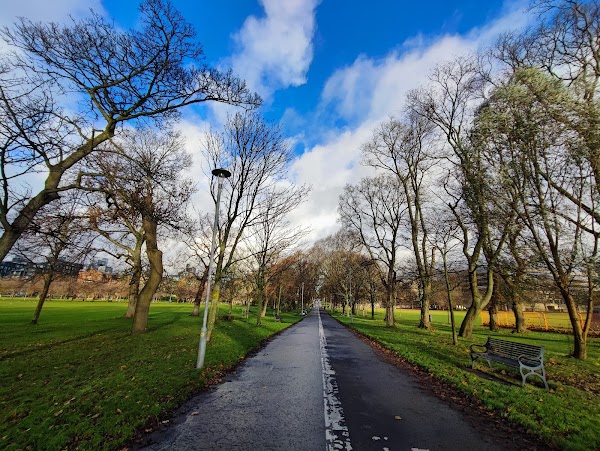The Meadows 2