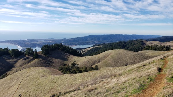 Mt Tam 1