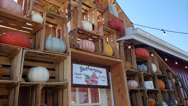 Yesteryear Farms