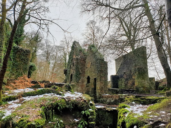 Scotland 14