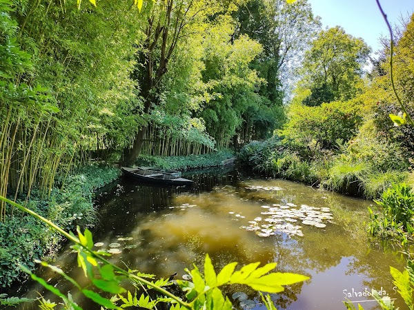 Giverny 5