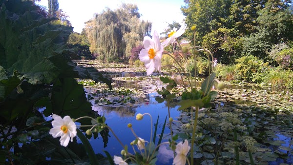 Giverny 4