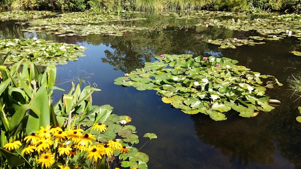 Giverny 3