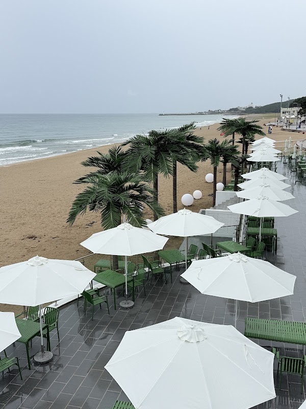 Korea 2026 🌸✈️ 14