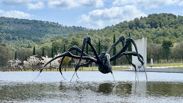 Louise Bourgeois’s Crouching Spider 5
