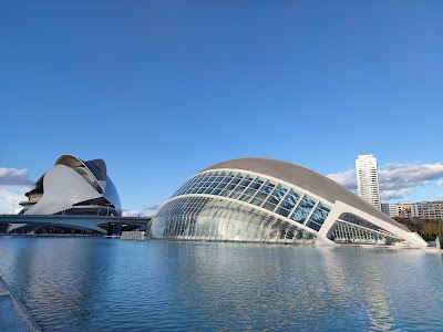 Ciudad de las Artes y las Ciencias 1