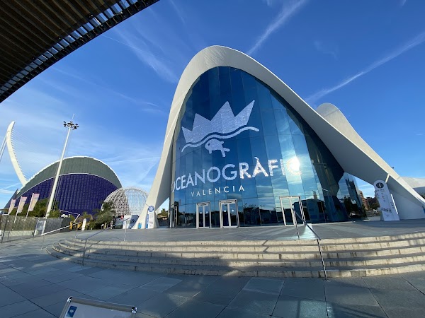 Ciudad de las Artes y las Ciencias 3