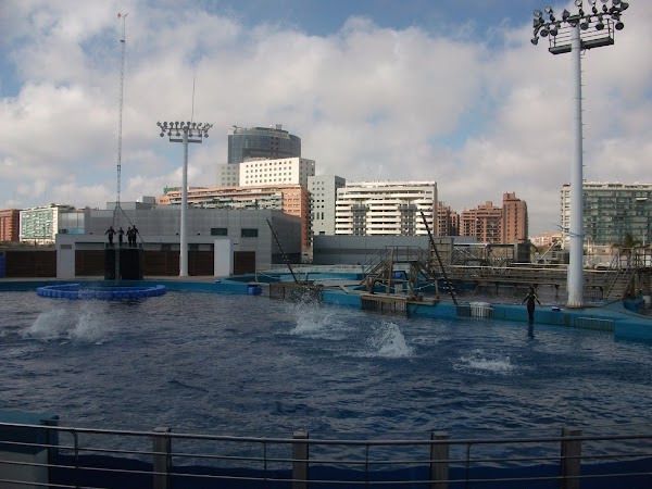 Ciudad de las Artes y las Ciencias 2