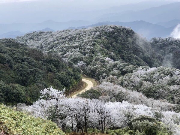 Phia Oac National Park 1