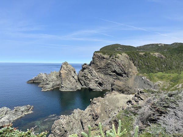 Bottle Cove 5
