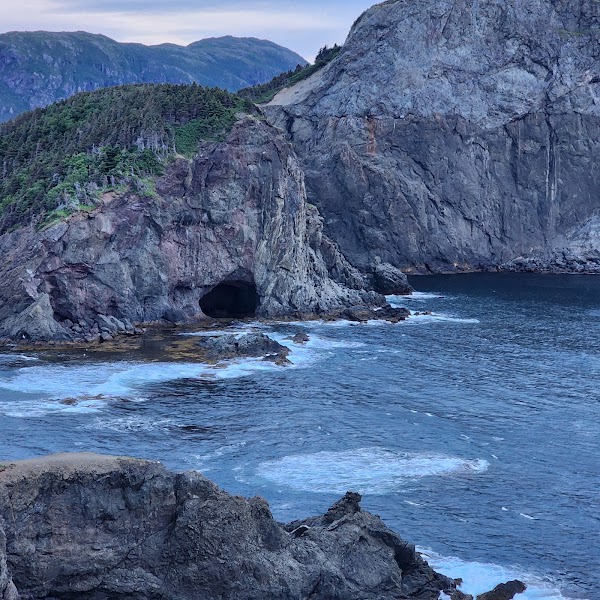 Bottle Cove 4