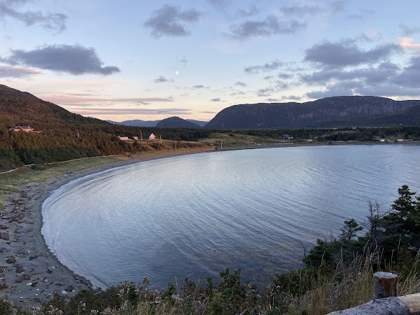 Bottle Cove 3