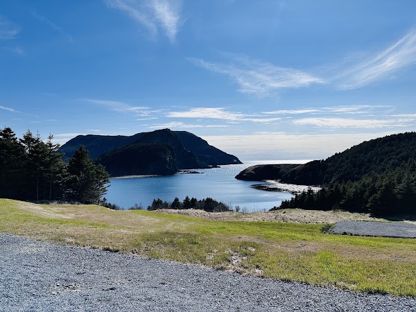 Bottle Cove 2